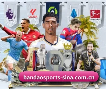 半岛体育 APP | BANDAO SPORTS